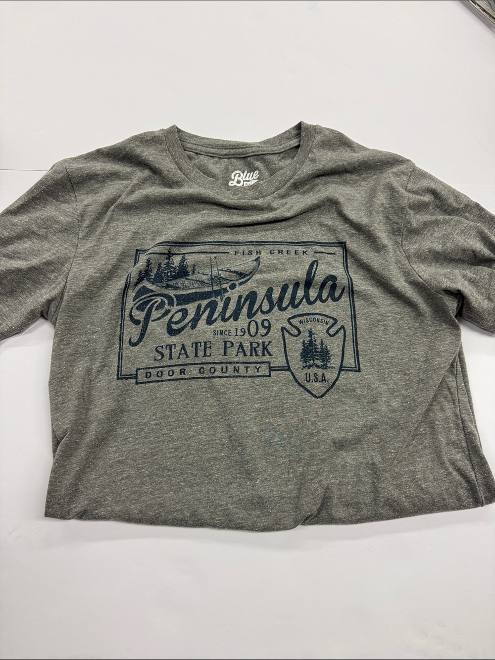 Blue 84 Olive Green Peninsula State Park Graphic Tee